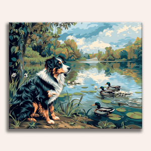 Aussie & Ducks