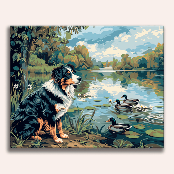 Aussie & Ducks