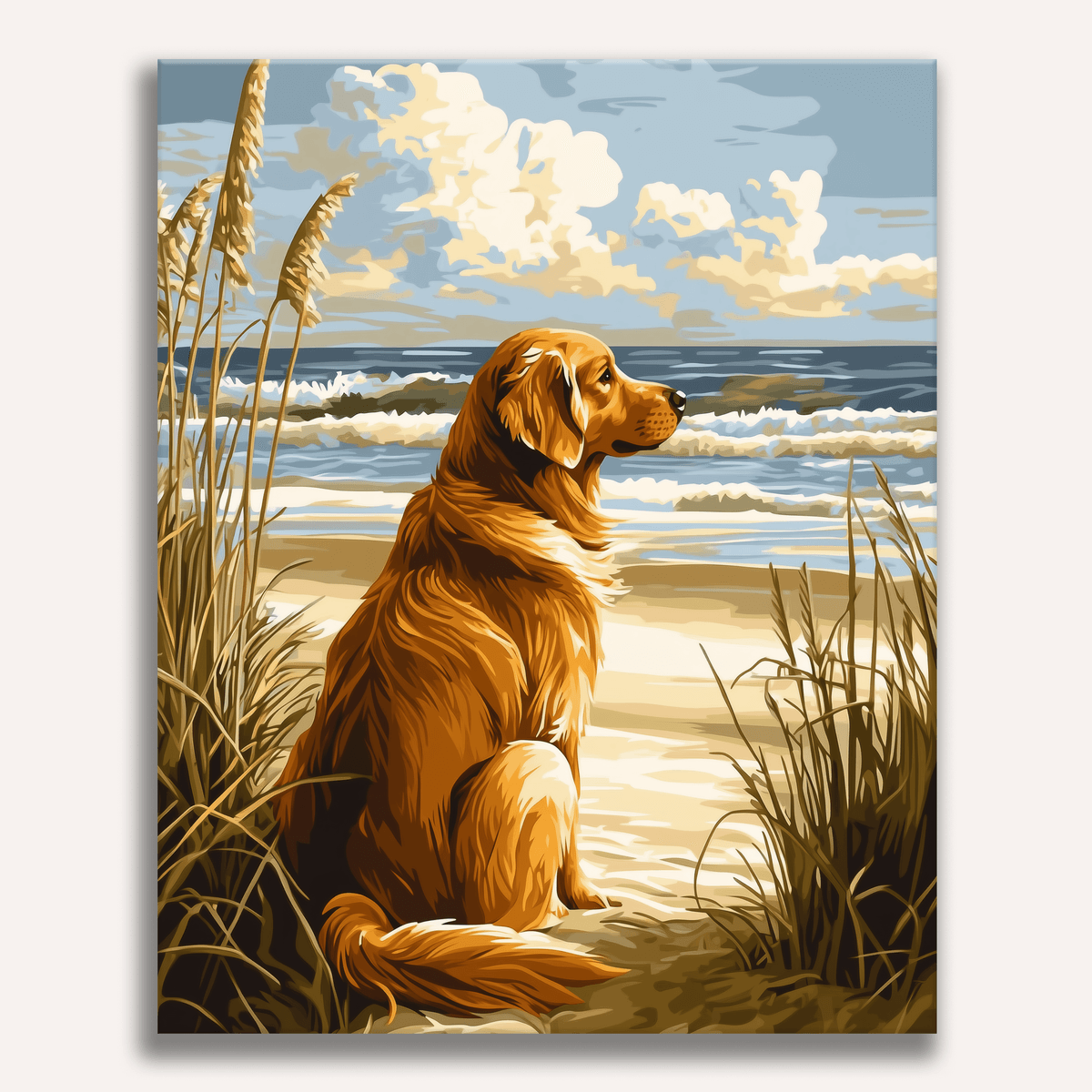 Beach Gaze