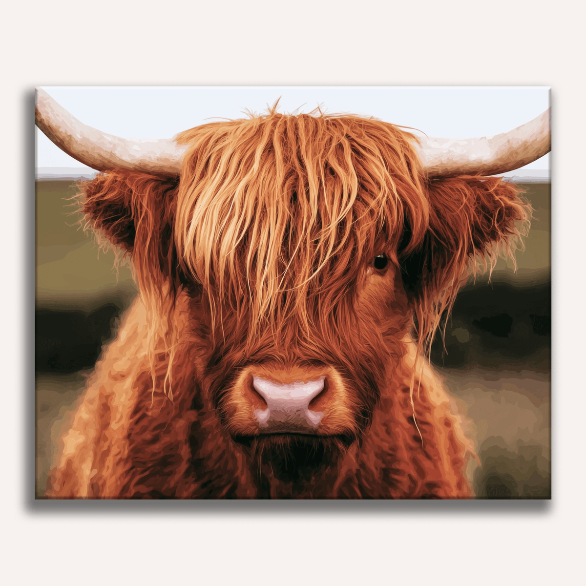Highland Gaze