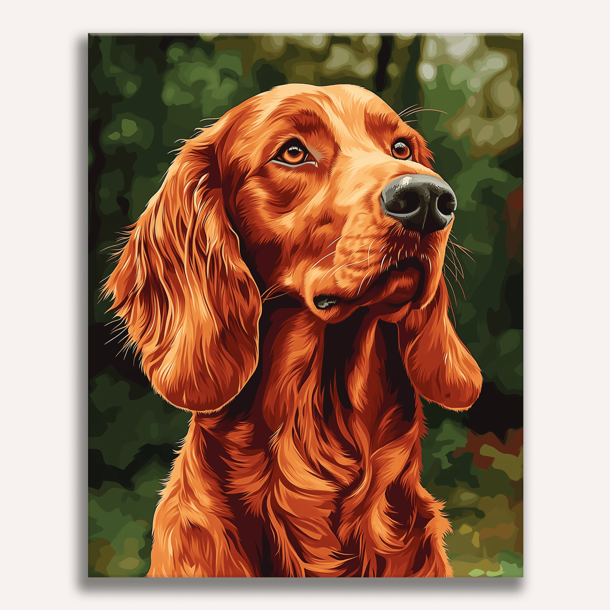 Irish Setter
