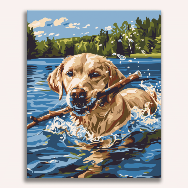 Retrieving a Stick