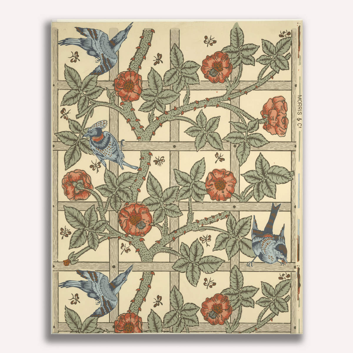 Trellis by William Morris
