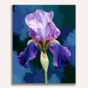 Blooming Iris