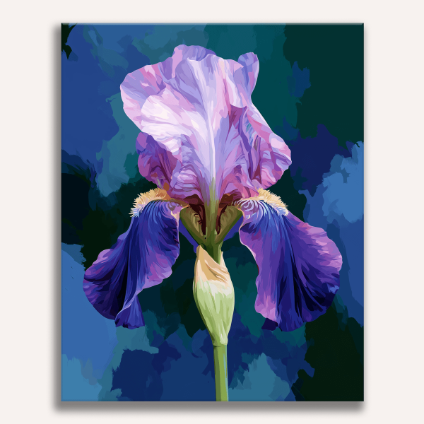Blooming Iris