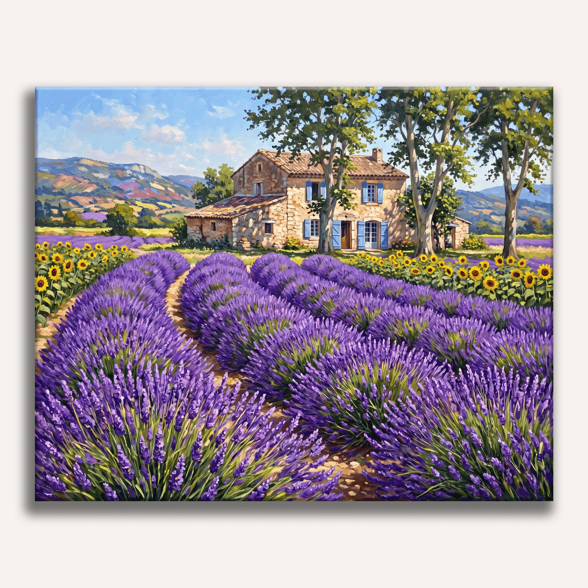 Provence Lavender