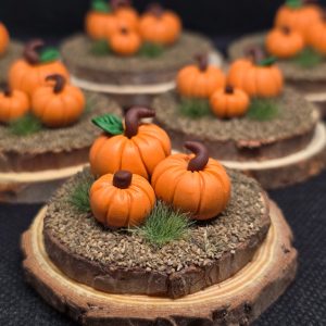 Pumpkin Patch