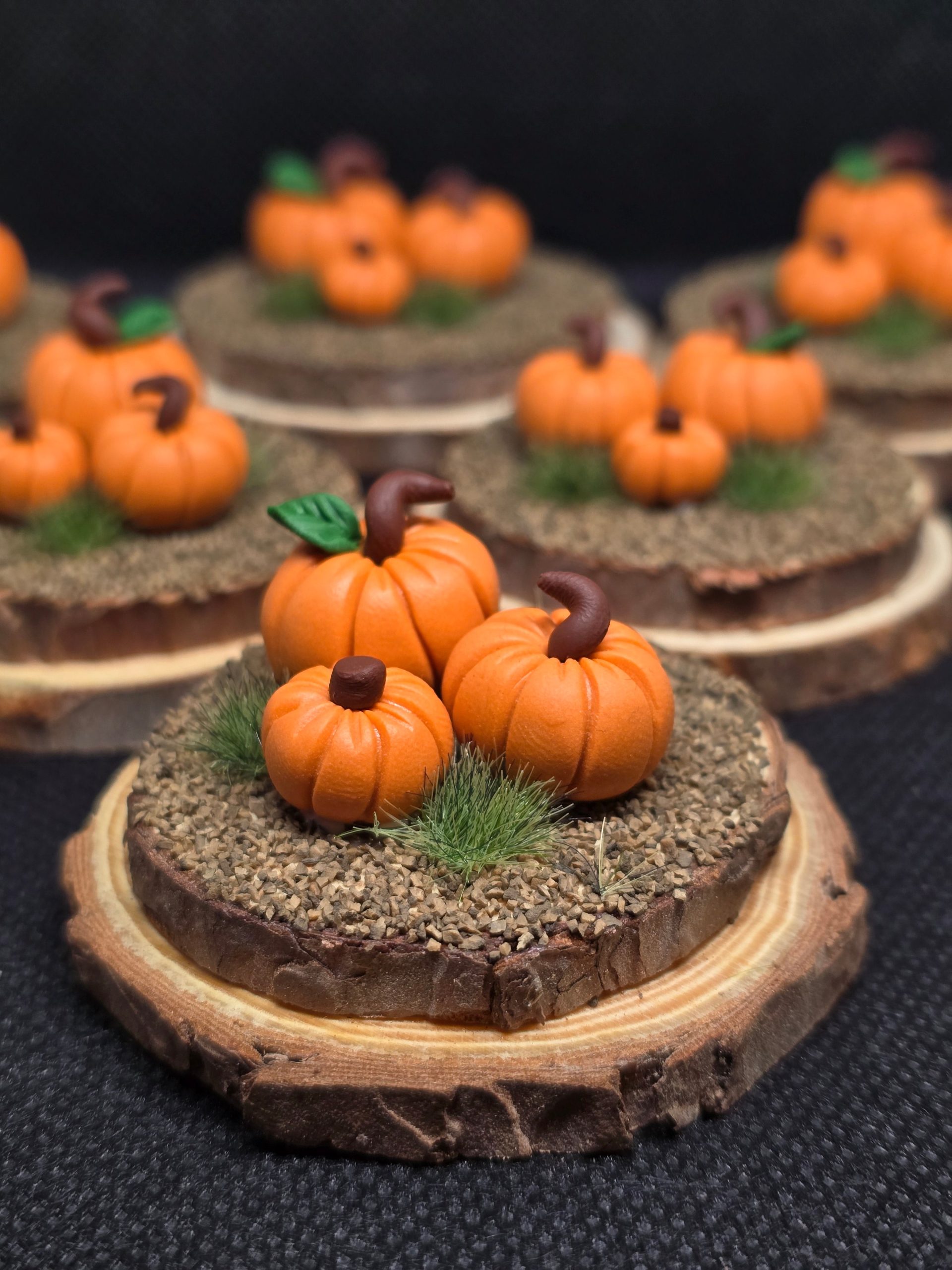 Pumpkin Patch