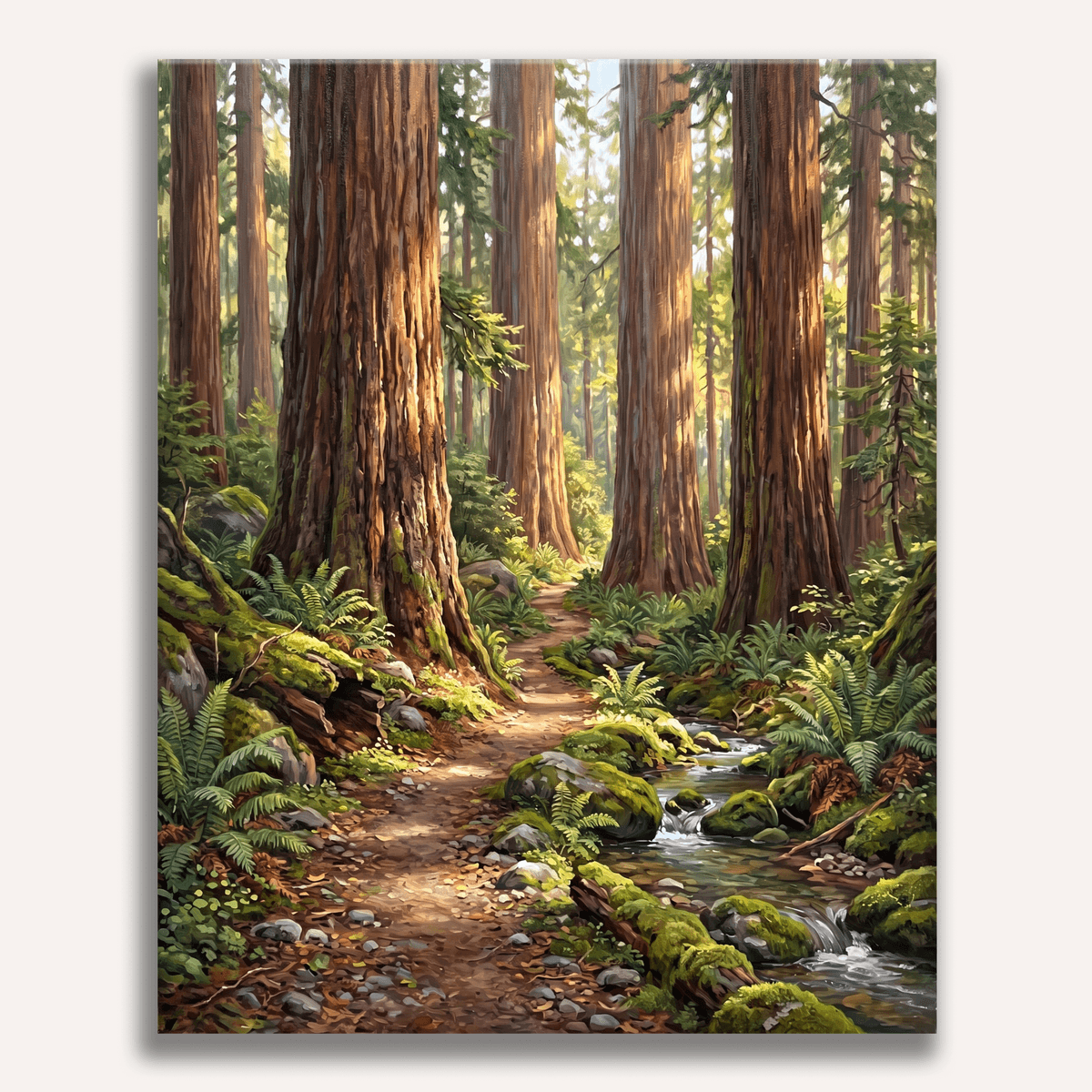 Redwood Path