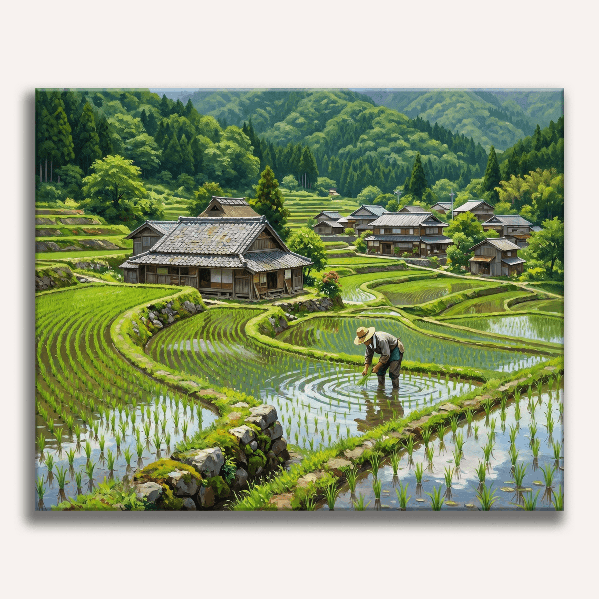 Rice Terraces