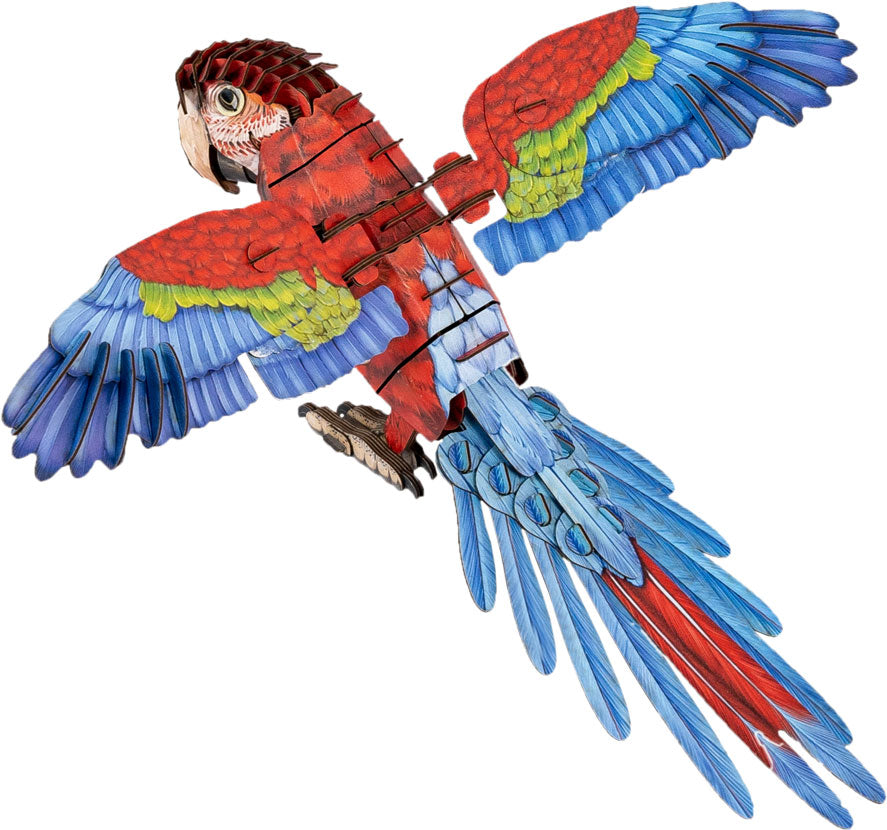 Macaw 3D Bird Puzzle