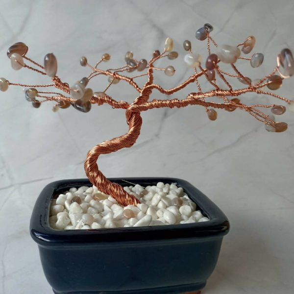 Botswana Agate Specialty Gem Tree - 49 gems per tree